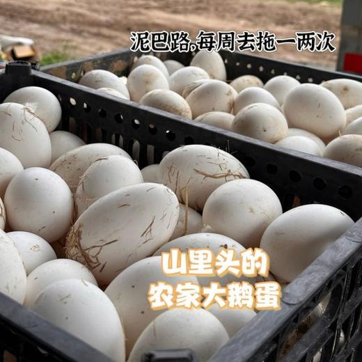 土家高山散养土鹅蛋【顺丰发货】 商品图6
