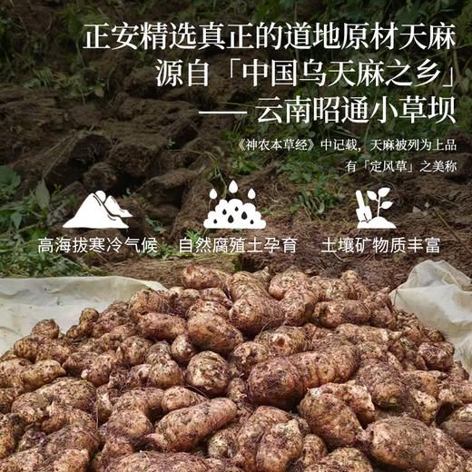 正安 云南昭通天麻 对补充脑子能量有益处 煲汤食材炖汤用料  精选优质原材 乌天麻中心切片 色泽自然胶质通透 130g/罐 商品图6