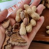 【陈皮花生】小巧花生壳里包裹着饱满酥脆的颗粒陈皮脆甘香甜，脆爽回味花生粒与陈皮脆在舌尖共舞令人上头的酥脆口感 商品缩略图2