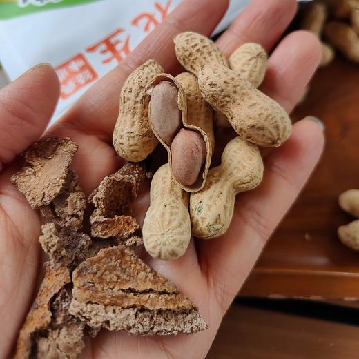 【陈皮花生】小巧花生壳里包裹着饱满酥脆的颗粒陈皮脆甘香甜，脆爽回味花生粒与陈皮脆在舌尖共舞令人上头的酥脆口感 商品图2