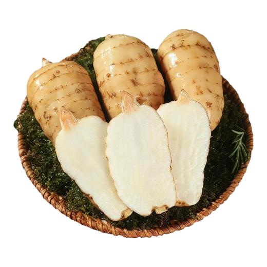 在菌屋 云南昭通新鲜天麻500g 现挖特大麻王 真空包装 商品图5