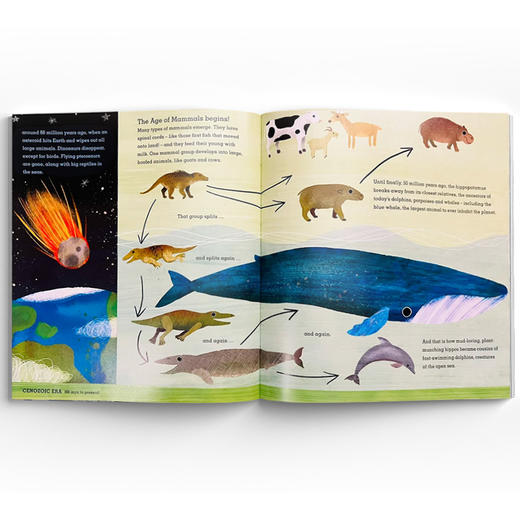 Out Of The Blue 出其不意:动物如何从史前海洋进化而来 精装原版引进 商品图4