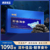 【顺丰快递】臻品海参 来自大连纯净海域 自然成长 营养丰富 参刺粗壮挺拔 肉壁厚实 参筋粗壮 口感 Q弹 AXTM 商品缩略图0