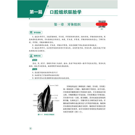 口腔组织病理学 第2二版 （高职高专口腔医学/口腔医学技术专业第二轮教材）周晓 侯菊花 主编 9787521456134 中国医药科技出版社 商品图3