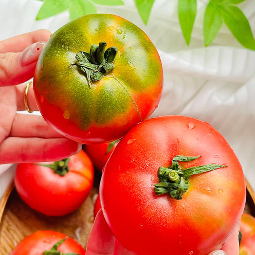 四川攀枝花  草莓番茄  多规格任选 商品图0