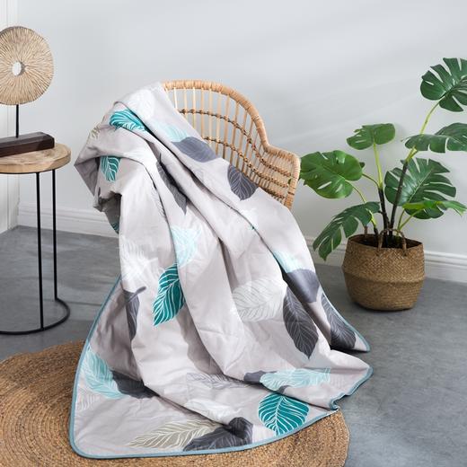 罗莱全棉水洗蚕丝夏被新一代180*200【分仓直发，72小时发货，周末节假日不发货】 商品图3