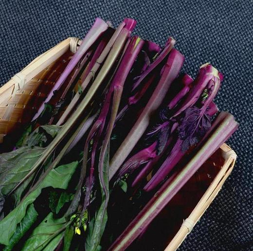 有机红菜苔 商品图4