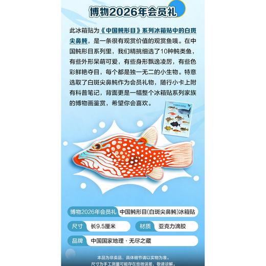 【树妈优选】博物杂志2026年全年订阅四时有味美味博物学增刊中国国家地理青少年版 商品图2