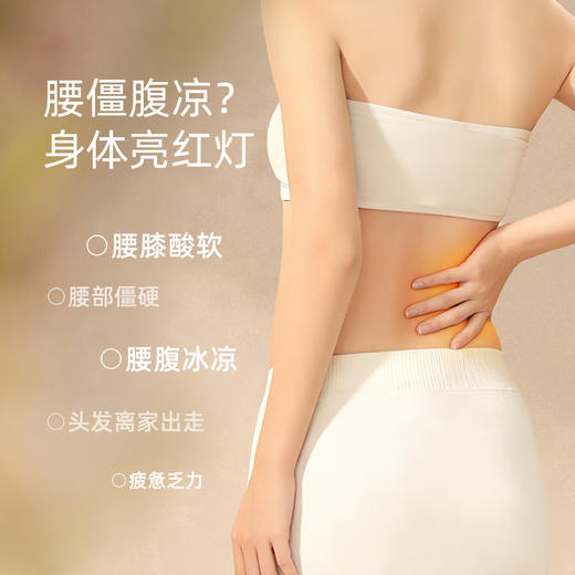 玄参地黄护肾贴  蒸汽热敷   灸膏双效   腰膝酸软   腰腹冰凉 商品图1