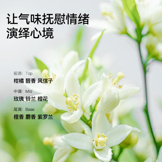 满婷除螨液体香皂480ml*3——加入会员下单享8折，满69元送满婷清满保湿洁面乳，满119元送祛痘控油沐浴乳 商品图5