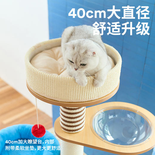 家居风木质爬架（桶型）（包邮）-B 商品图2