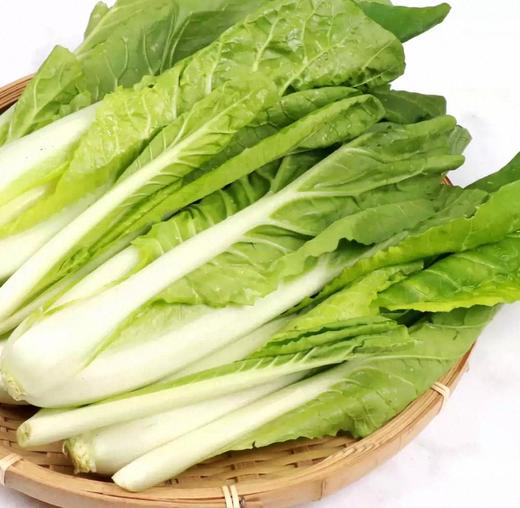 有机快菜 商品图3