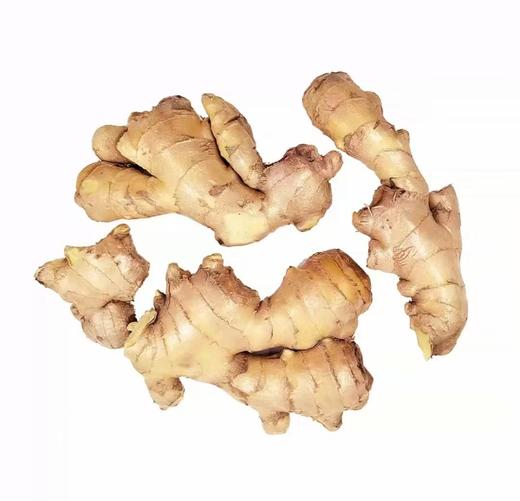 有机姜 商品图3