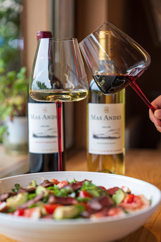 【智利原瓶进口 百年酒庄 来自罗斯柴尔德家族】  MAS ANDES罗斯柴尔德男爵玛安蒂白红葡萄酒系列 商品图8