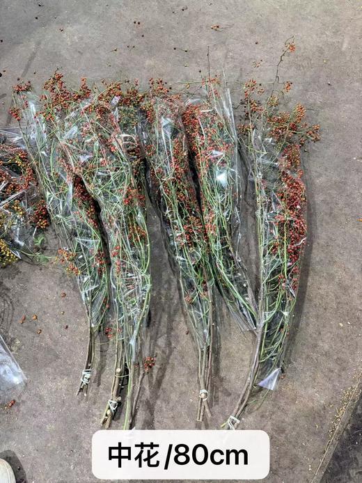 精品国产山归来鲜切花一扎 商品图3