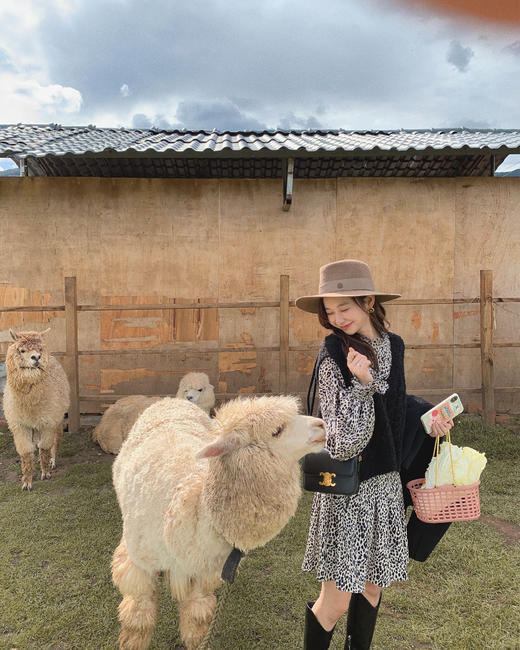 金蘑菇菇【春日奏鸣曲 连衣裙合集】~内搭蕾丝碎花裙 商品图0