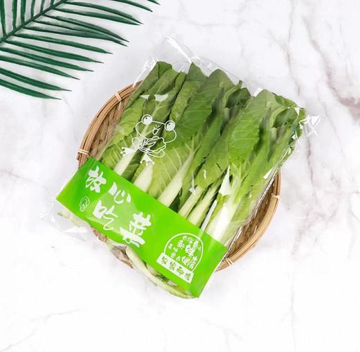 有机快菜 商品图4
