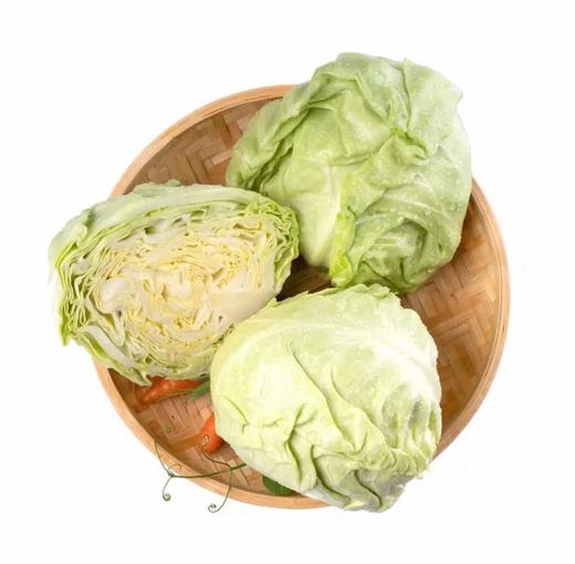 有机水果甘蓝 商品图4