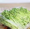 有机豌豆苗 商品缩略图0