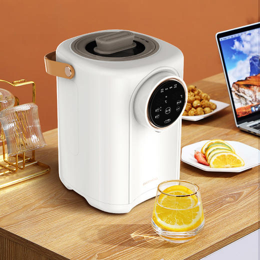 大宇电热开水瓶DYSP-3018【分仓直发，72小时发货，周末节假日不发货】 商品图6