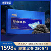 【顺丰快递】臻品海参 来自大连纯净海域 自然成长 营养丰富 参刺粗壮挺拔 肉壁厚实 参筋粗壮 口感 Q弹 AXTM 商品缩略图1