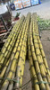 黄金甘蔗 ，口感脆甜 可削皮，活动价2.98元一斤，随其它水果满百包送 商品缩略图3