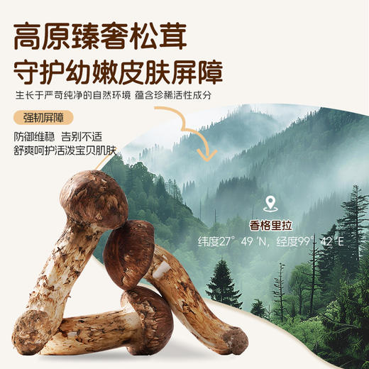 澳雪婴儿高山松茸净澈保湿沐浴露 310ml/1L 商品图3