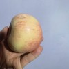 瑕疵果  010宁夏沙坡头旱苹果  表皮带瑕疵 干伤疤 裂痕 上色程度不高等  可烤苹果干 美食搭配 非标准商品果 商品缩略图7