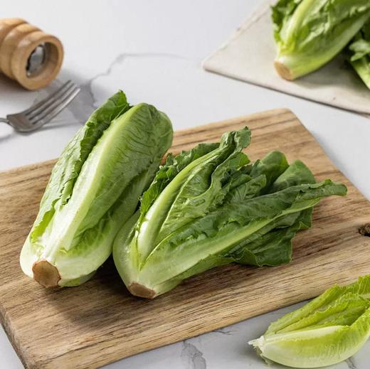 有机意大利生菜 商品图4