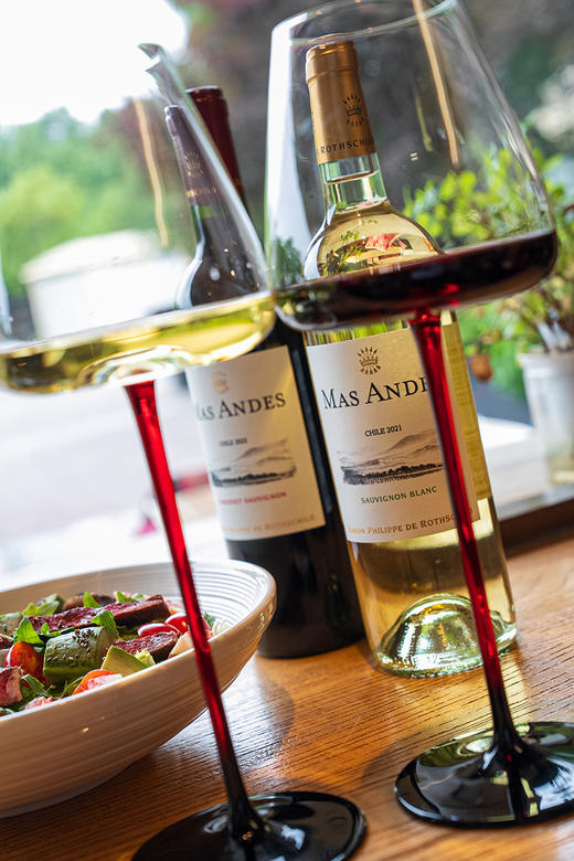 【智利原瓶进口 百年酒庄 来自罗斯柴尔德家族】  MAS ANDES罗斯柴尔德男爵玛安蒂白红葡萄酒系列 商品图9