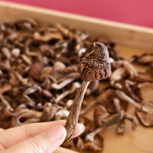 东北有机野生榛蘑【纯野生，稀有品，量较少】 商品图2