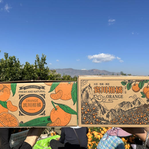 大理宾川椪柑 香甜可口 爆汁 现摘带叶 精选  包邮 商品图14