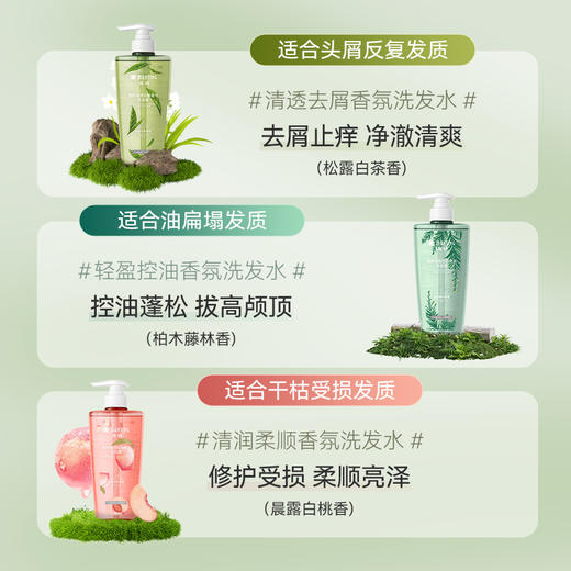 满婷香氛洗发（松露白茶）（晨露白桃）（柏木藤林）600ml--入会享会员8折，满69元送满婷清满保湿洁面乳，满119元送祛痘控油沐浴乳 商品图4