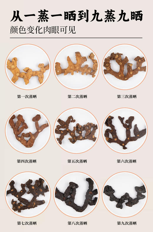 轻瑞九蒸九晒黄精果250g/罐 果肉醇厚软糯 可即食 泡水 煲汤 商品图6