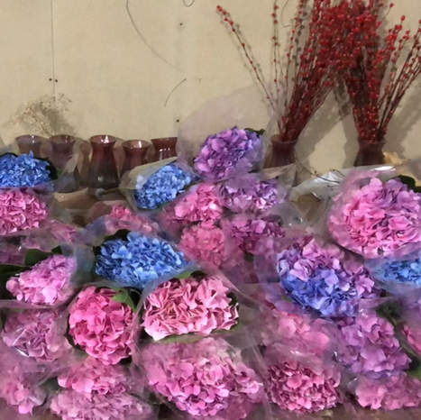 绣球随机10支（活动专用）