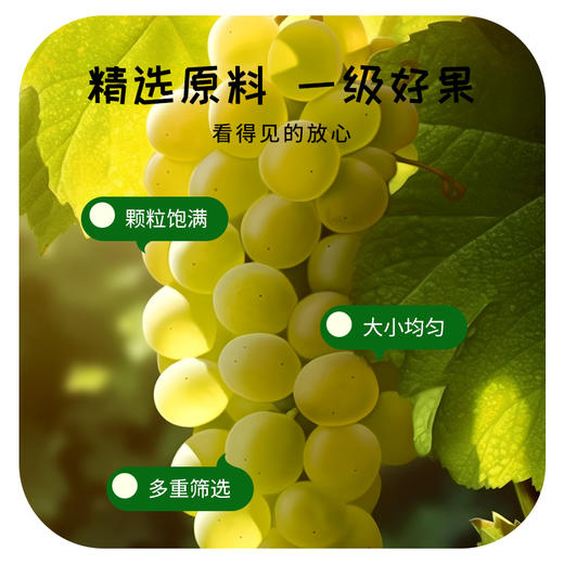 今粮道/申十一320g葡萄干JLD135 商品图1