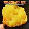 【0317早市】【软糯香甜】榴莲蜜薯 3/5斤 美味香甜软糯无丝 商品缩略图1