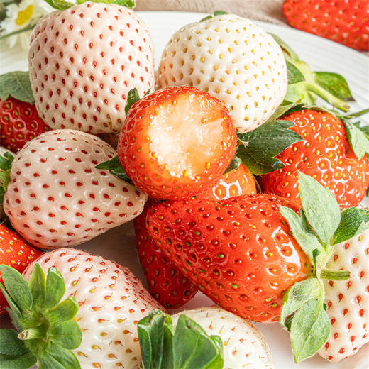 【淡雪草莓】 清甜娇嫩，微带果酸（京东，顺丰随机发货） 商品图0