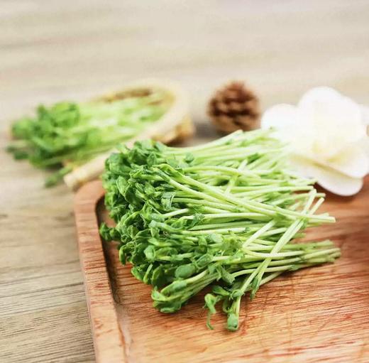 有机豌豆苗 商品图1