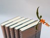 【现货】《甲骨文词谱》（全五册），朱歧祥编撰、余风·赖秋桂·钱唯真·左家纶合编，16开布面精装带护封，共计2700页，里仁书局2013年12月30日初版。 商品缩略图2
