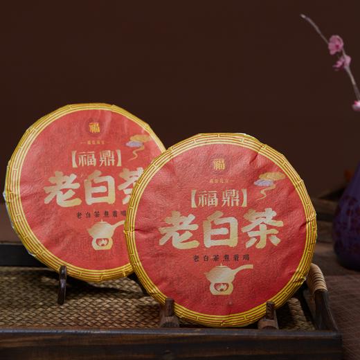 【加赠50g陈皮】福鼎十年陈一级贡眉老白茶饼 制茶大师傅巧莉监制 入口回甘 刮油解腻！ 商品图3