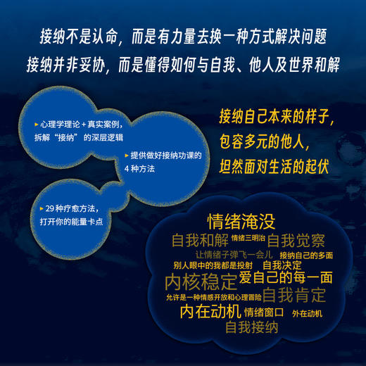 接纳 筝小钱作品愿你接纳每一个是自己的瞬间自渡自愈心理学书籍 商品图3