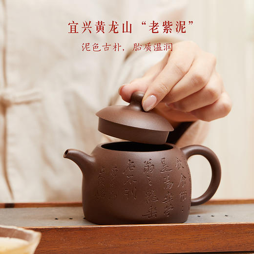 【故宫茶具】飞鸿延年紫砂壶博物馆文创茶壶送长辈新年生日礼物 商品图3