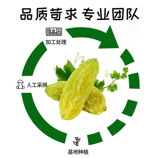 今粮道/申十一320g葡萄干JLD135 商品图2