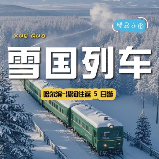 【雪国列车SUV小团】漠河5天4晚深度纯玩·赴一场北纬53°的冰雪之约 商品图0