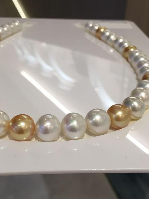 【私席真珠·新年盛宴】南洋澳白&南洋金珍珠混彩珍珠项链 9.7-11mm 近圆 微瑕 珠光超亮 约43cm 商品图3