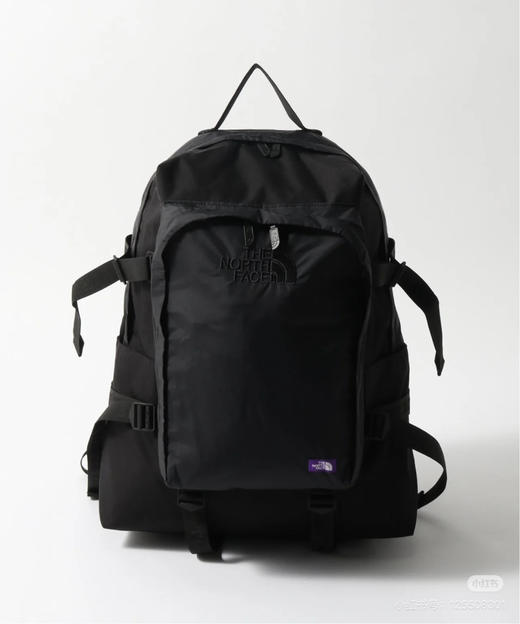TheNorthFace 北面紫标双肩包。黑色。灰色 商品图2