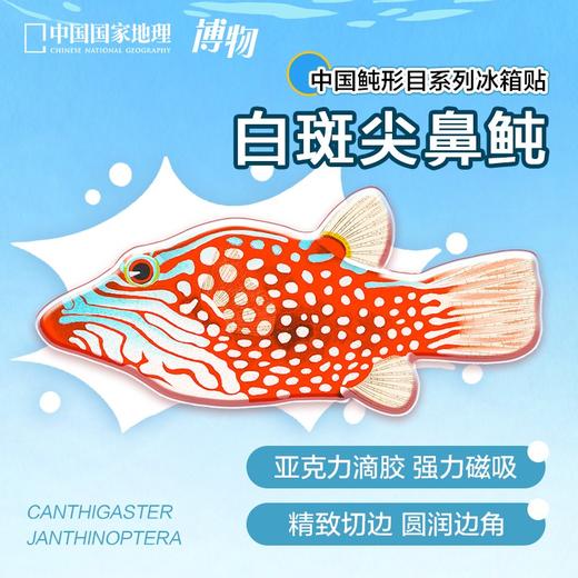 【树妈优选】博物杂志2026年全年订阅四时有味美味博物学增刊中国国家地理青少年版 商品图1