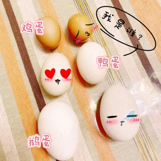 土家高山散养土鹅蛋【顺丰发货】 商品图3