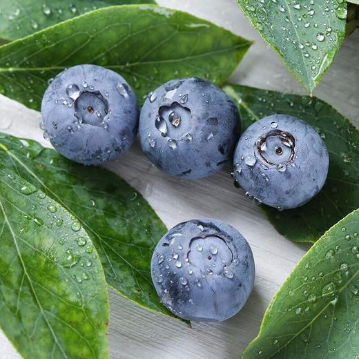 云南·花香蓝莓 #香甜爽口，鲜嫩爆浆，果香浓郁，现摘现发，护眼佳果 商品图3